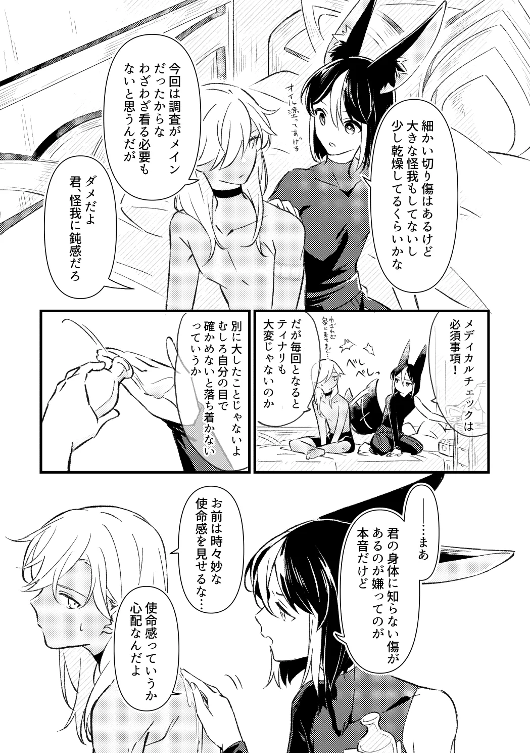 プライベート・アプローチ - page20
