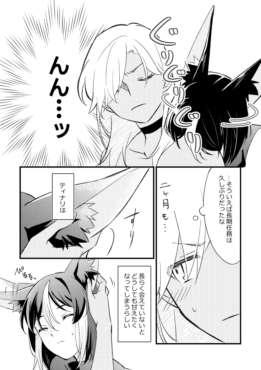 プライベート・アプローチ - page22