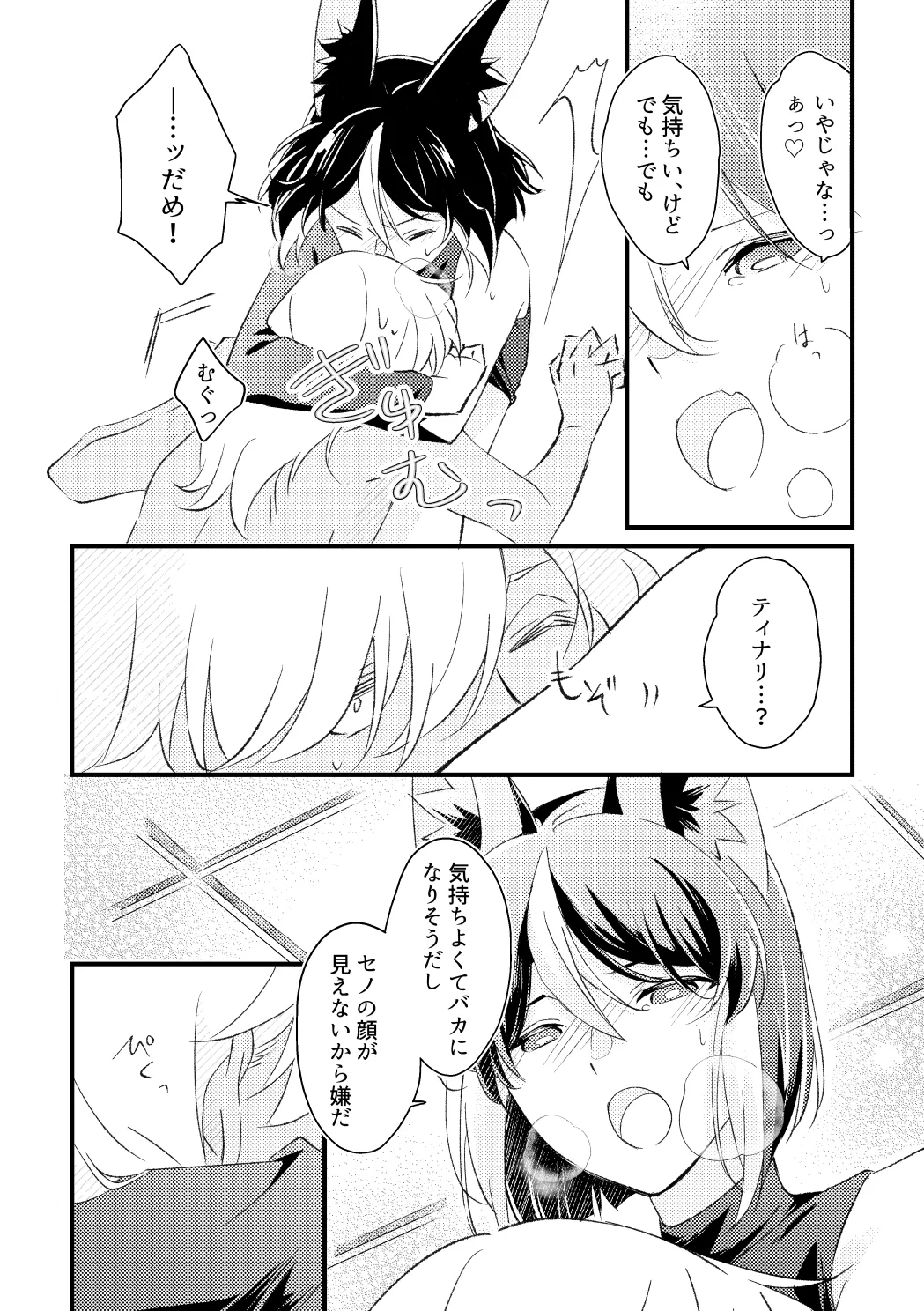 プライベート・アプローチ - page29