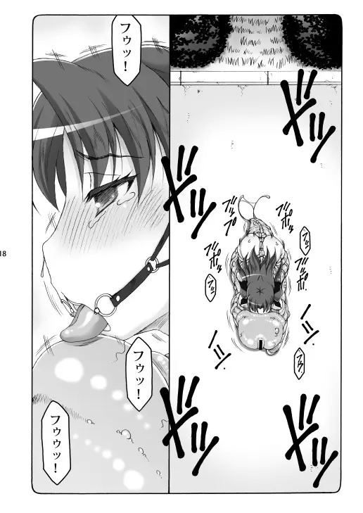 蟲鳥総集編2 デジタル版 - page17