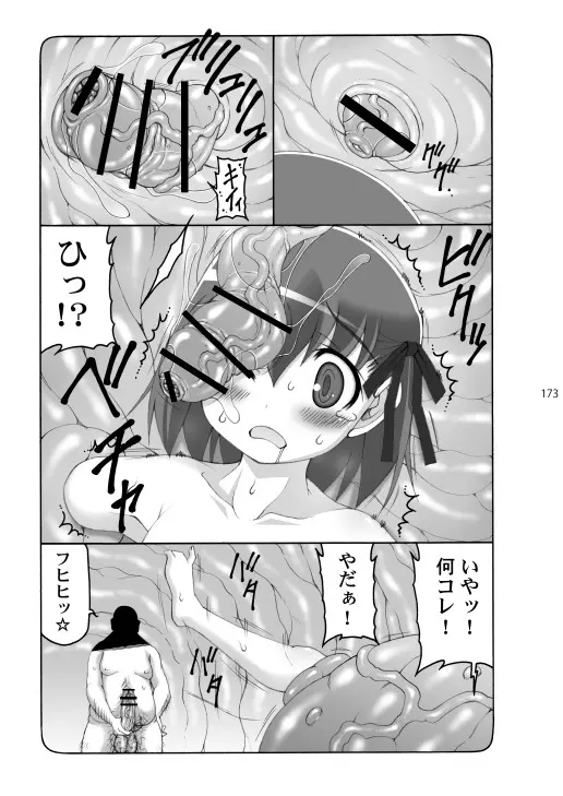 蟲鳥総集編2 デジタル版 - page172