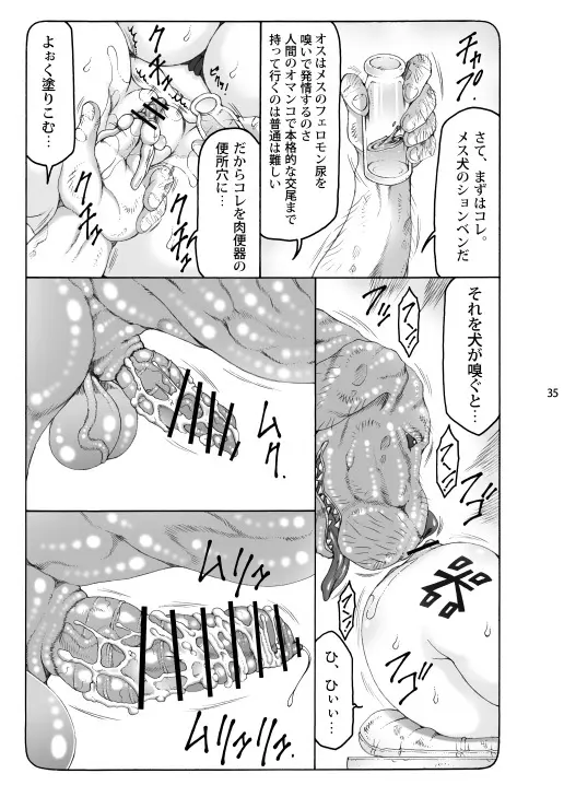 蟲鳥総集編2 デジタル版 - page34