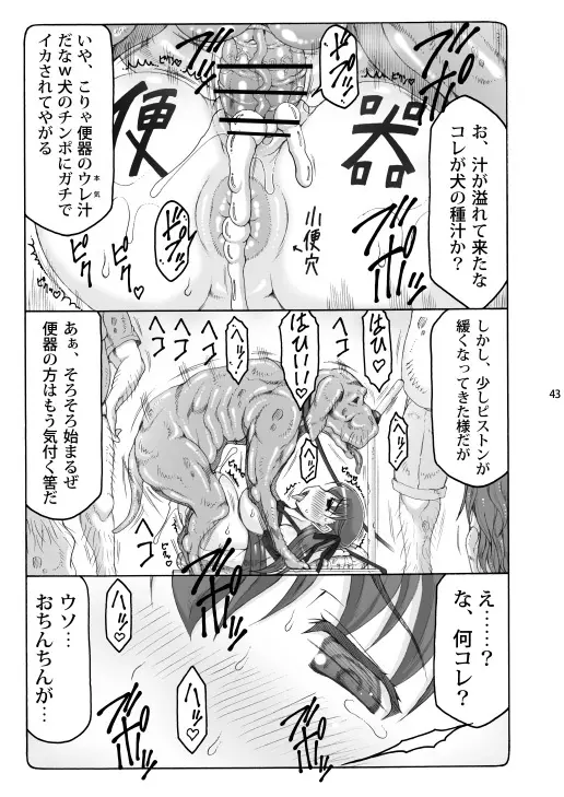 蟲鳥総集編2 デジタル版 - page42