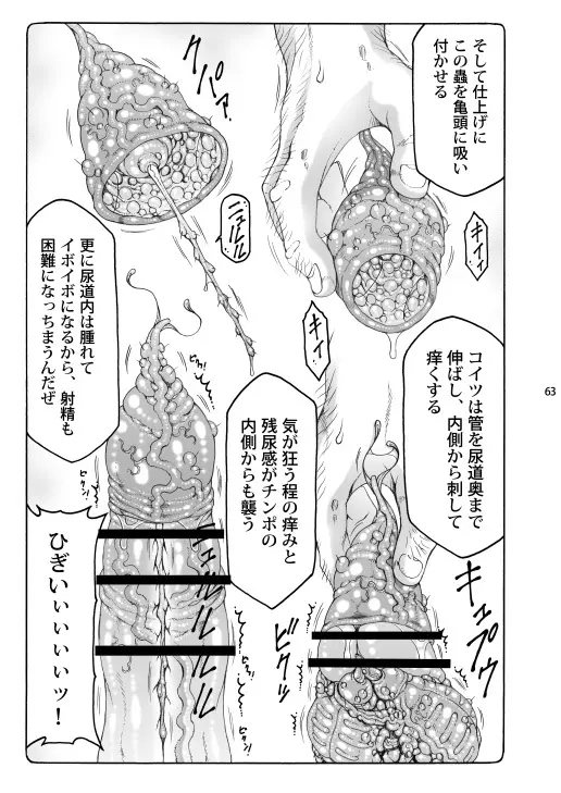 蟲鳥総集編2 デジタル版 - page62