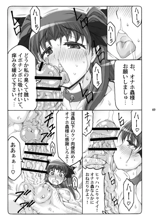 蟲鳥総集編2 デジタル版 - page68