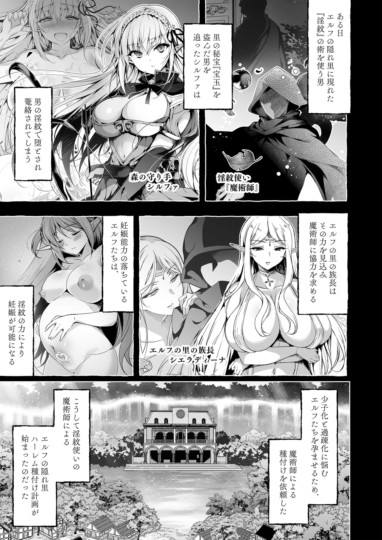 淫紋魔術師のエルフハーレム - page3