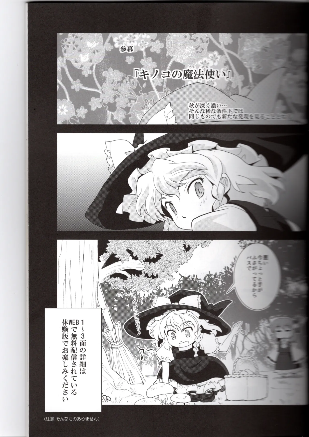 博麗神社に秋が来ない - page11