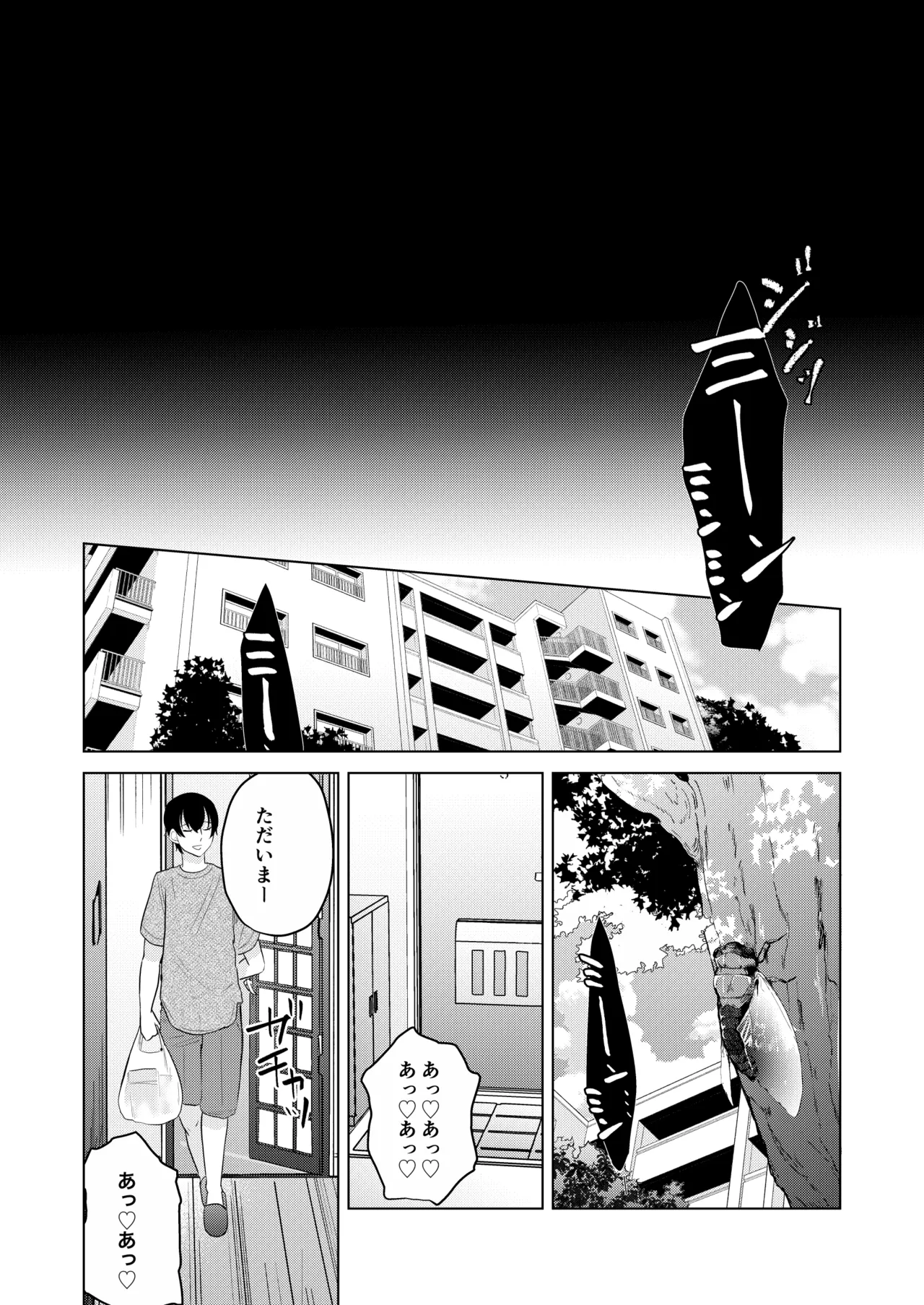 籠の部屋、蝉のうた - page48