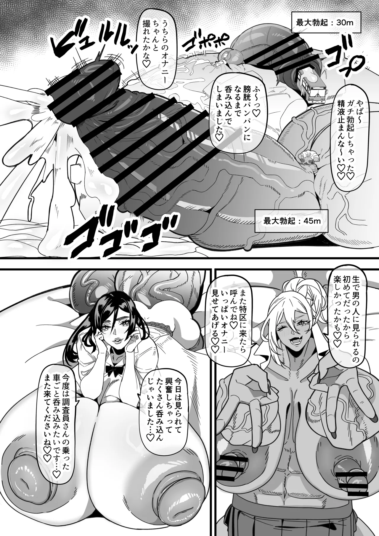 ふたなり特区調査報告書 - page17