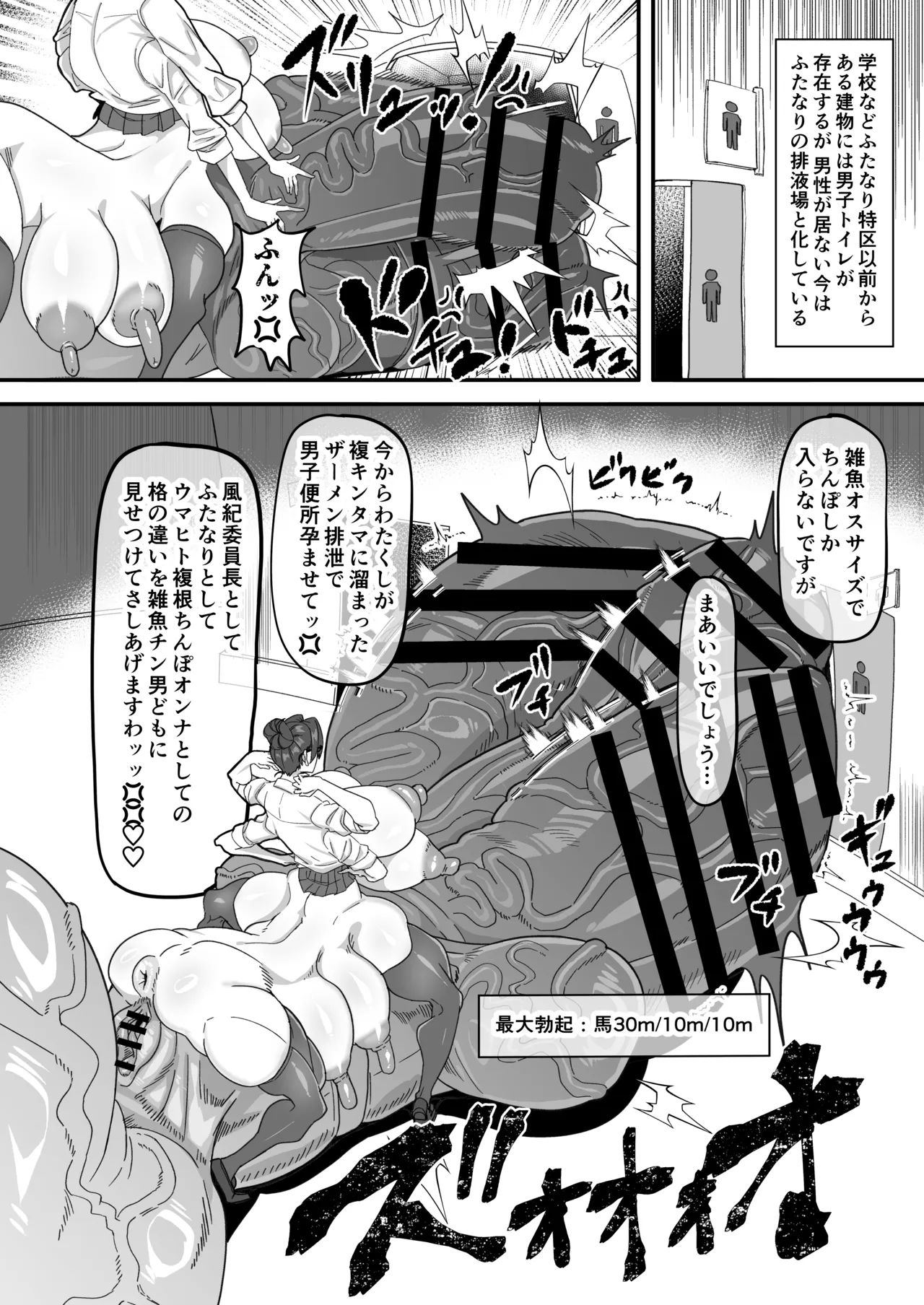 ふたなり特区調査報告書 - page23