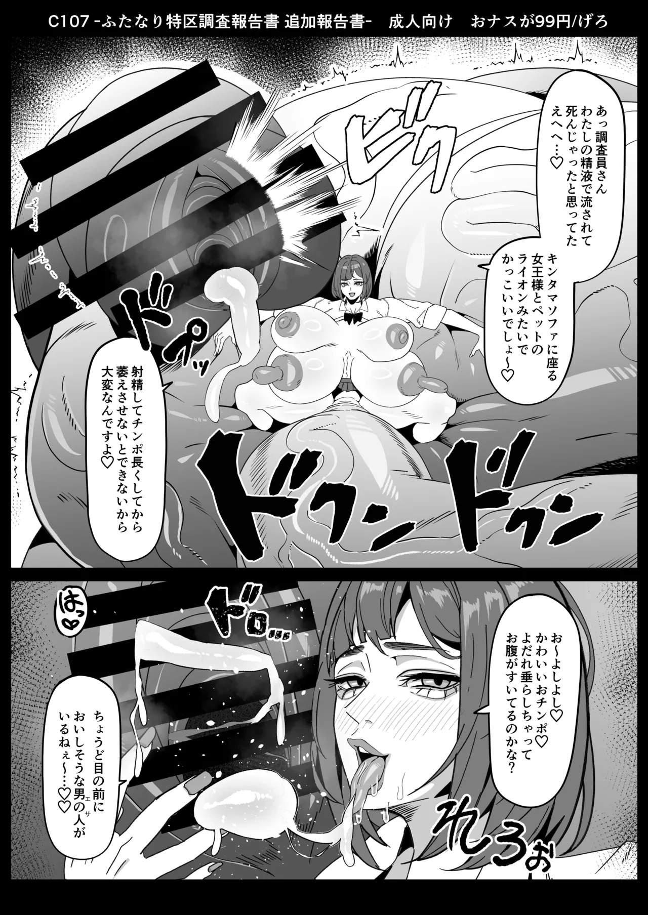 ふたなり特区調査報告書 - page34
