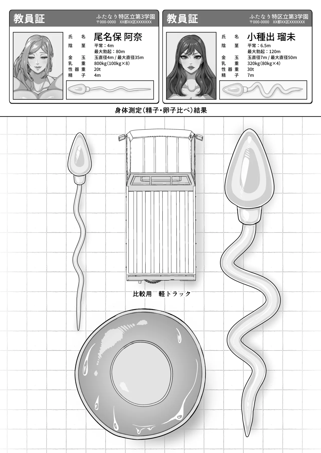 ふたなり特区調査報告書 - page41