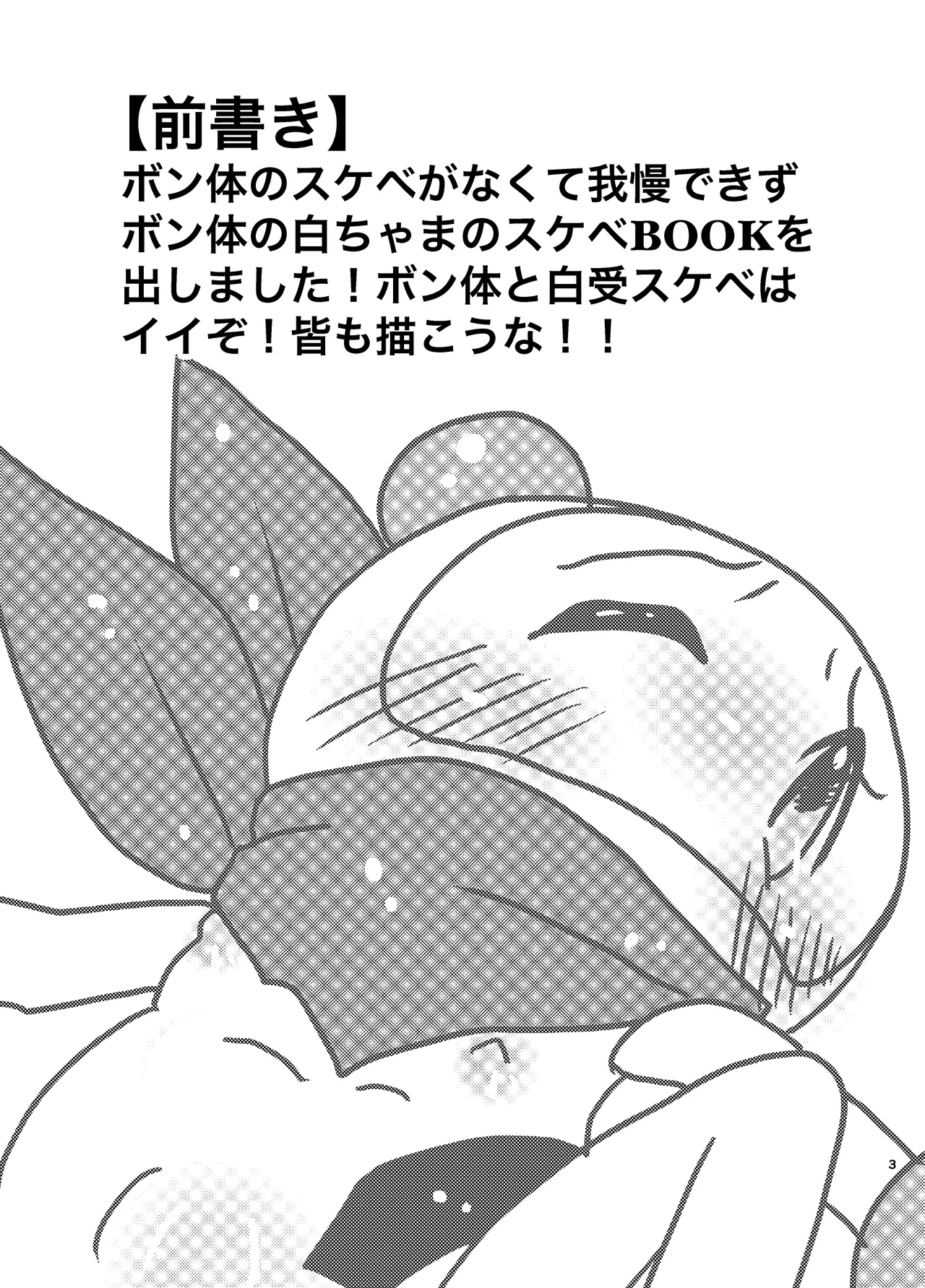 エッチなボン体がみたい！ - page3