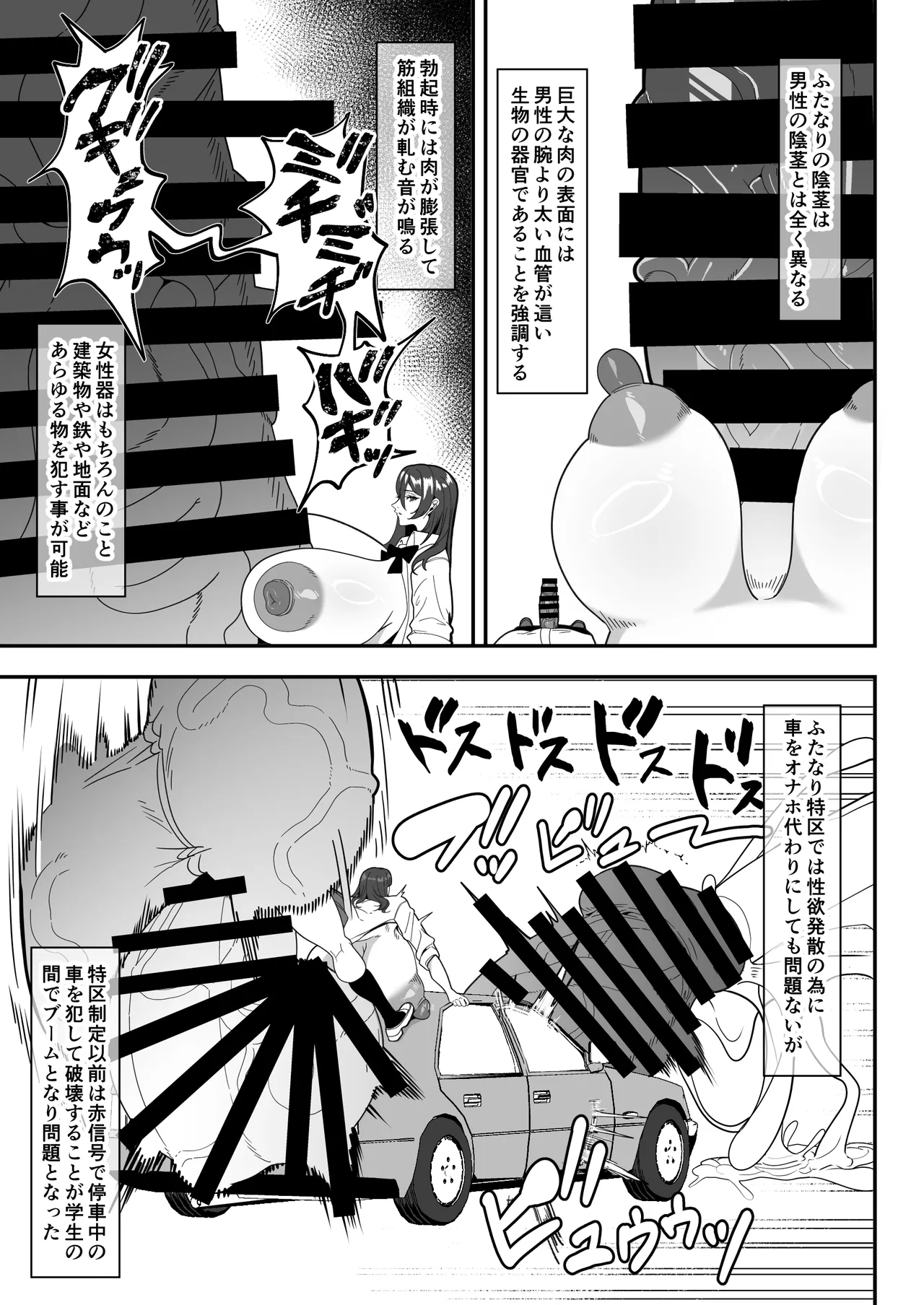 爆根ふたなり説明書 - page9