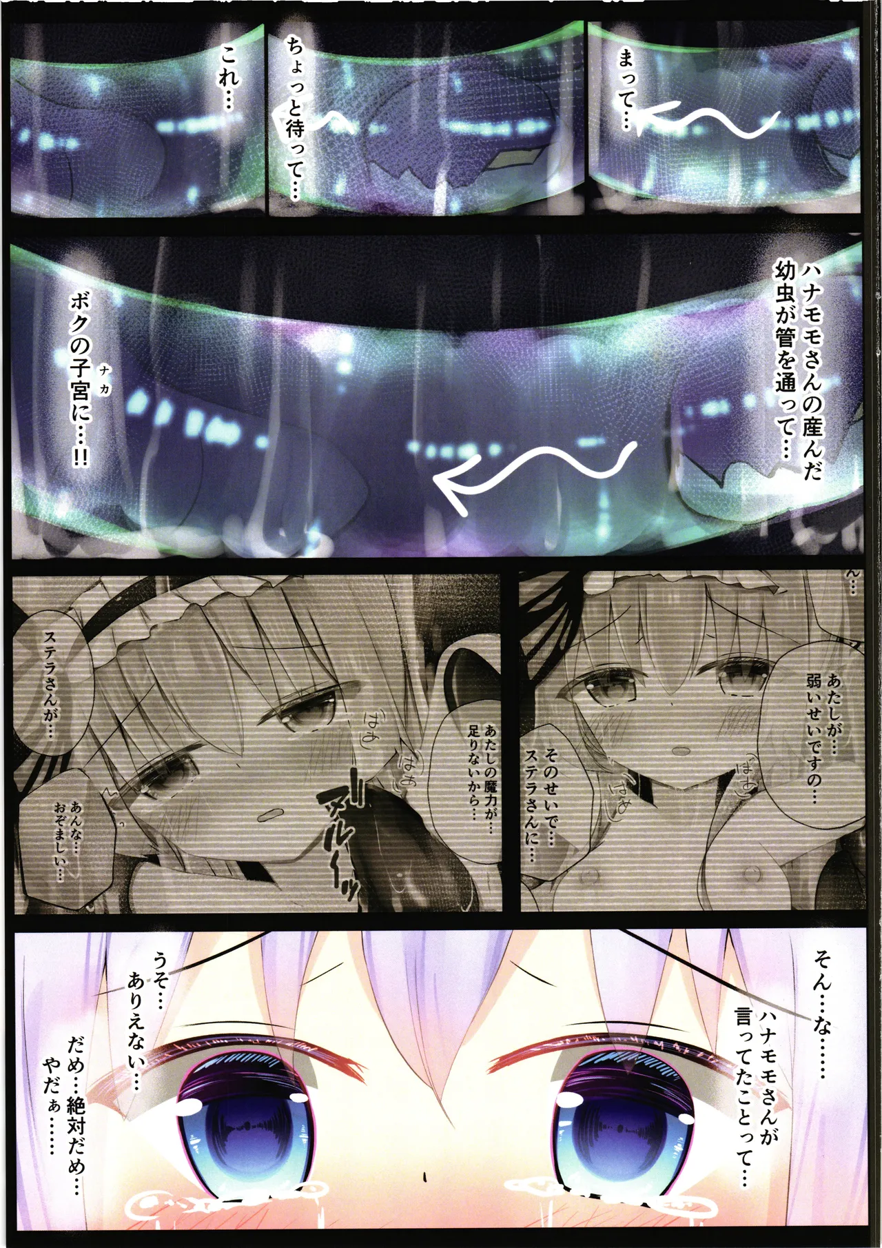 花騎士の使い方 結 - page19