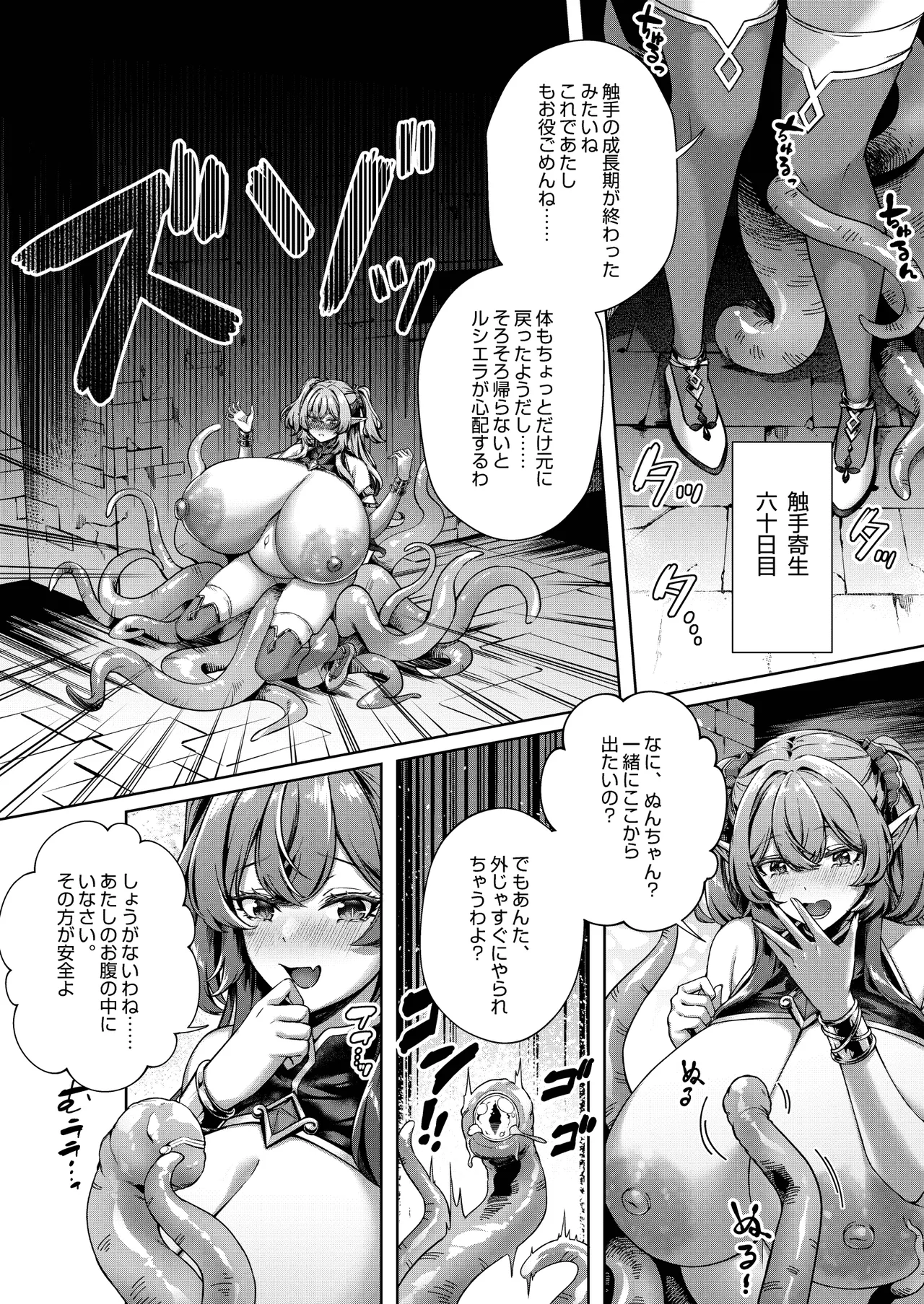 堕ちた天才魔法使い、苗床化エルフの六十日間 + おまけ差分集 - page29