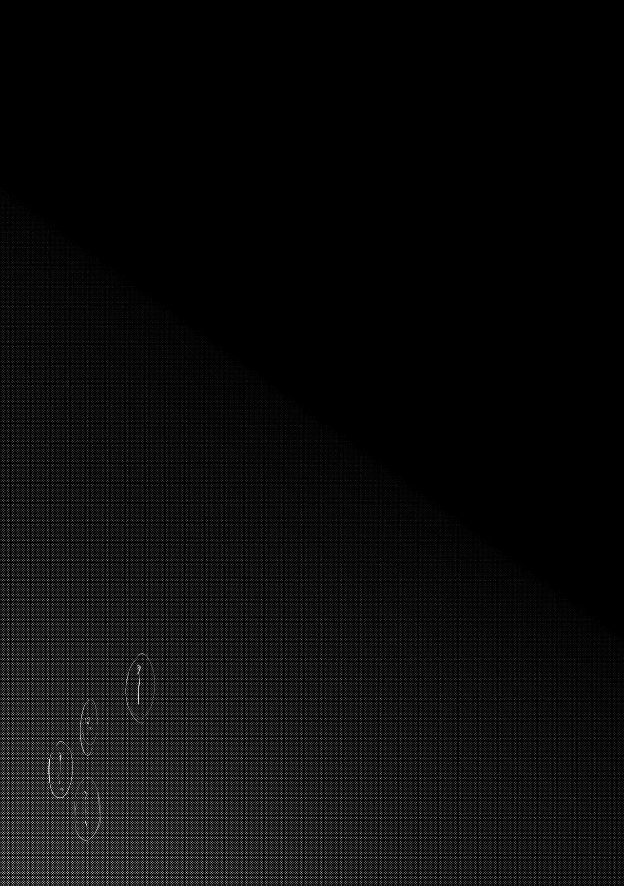 拝啓、その他大勢になれない君へ - page44