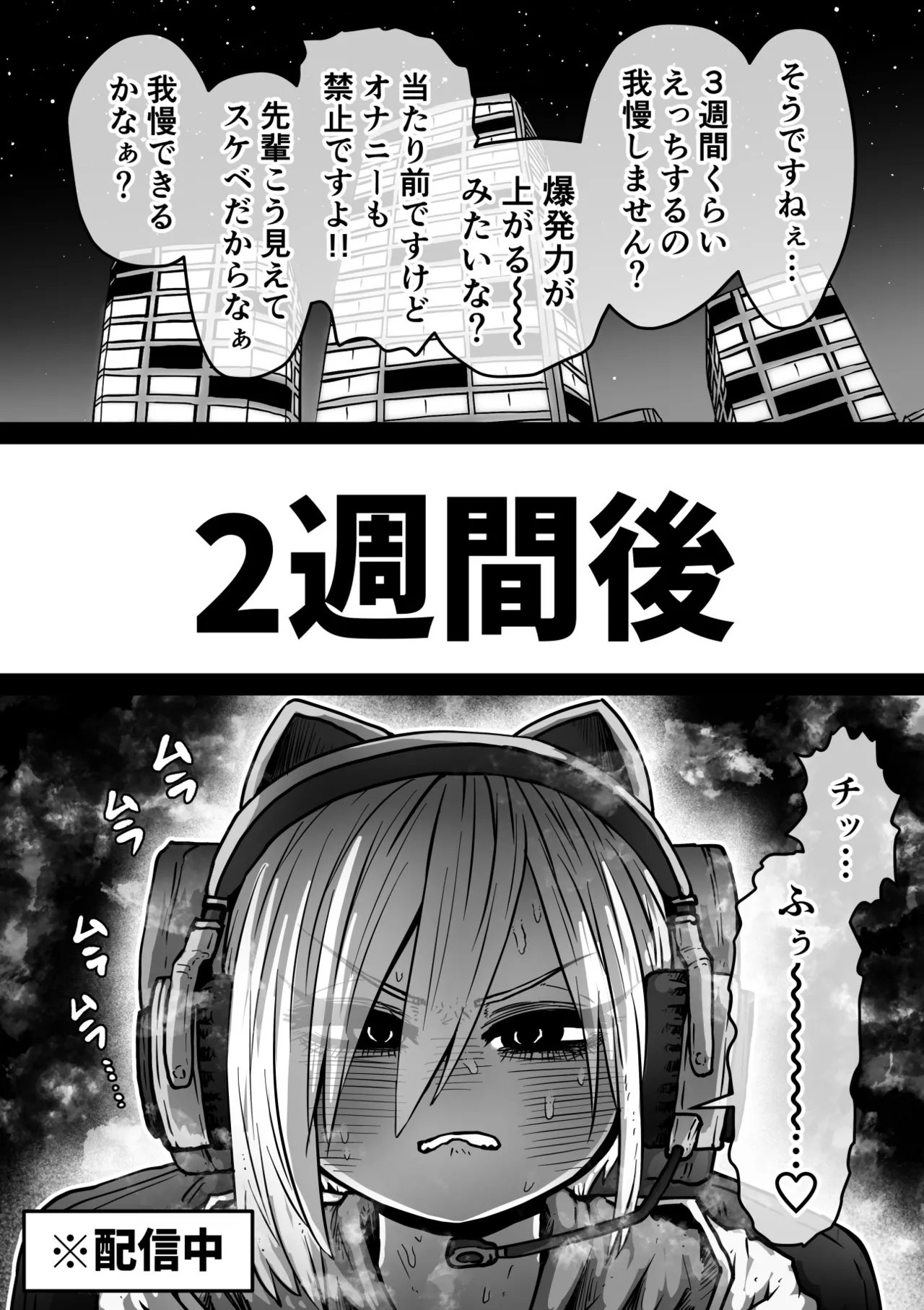 大人気配信者ときどきメス猫《後輩は陰キャ上がりのインフルエンサー》 - page17