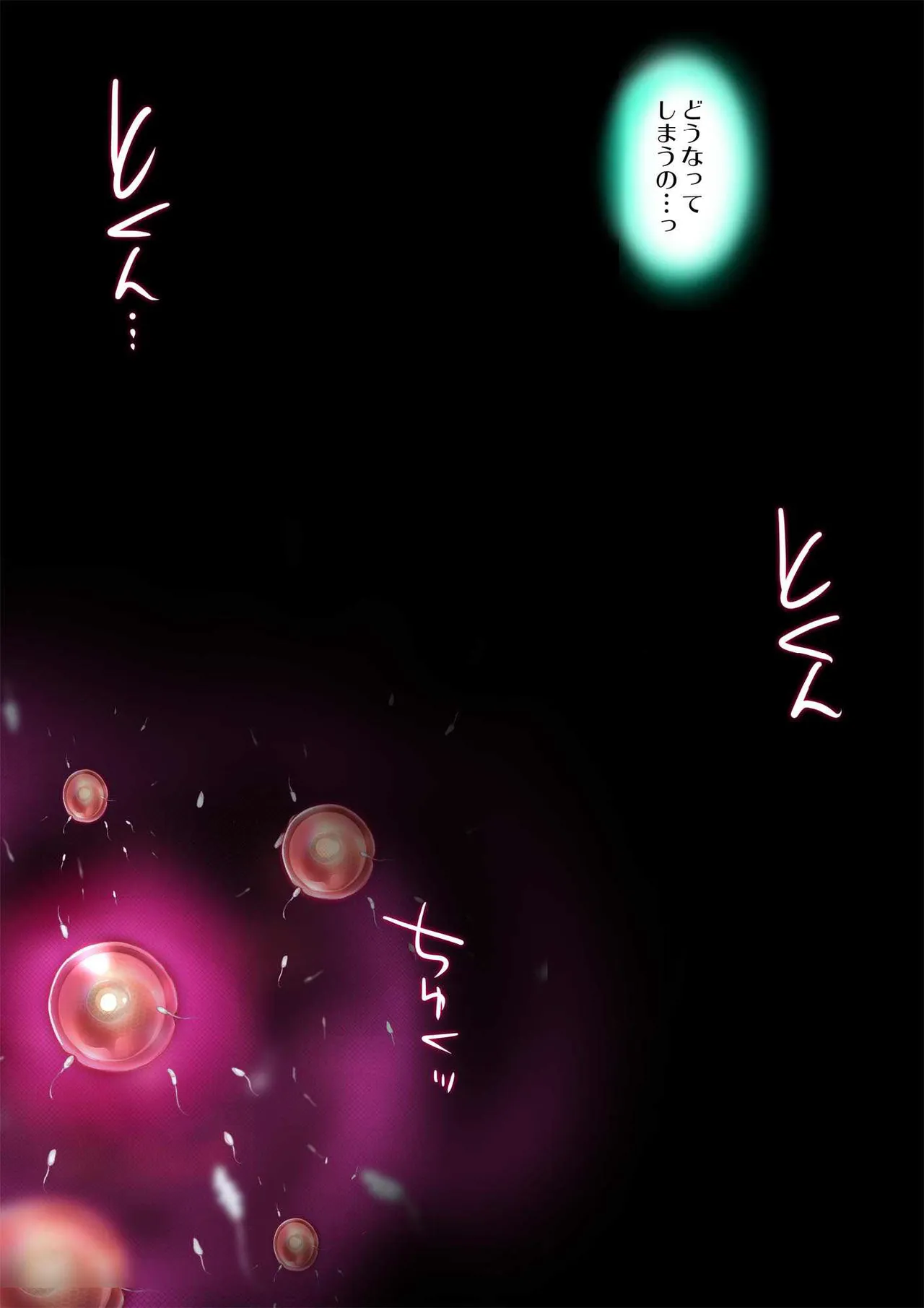 ヒロイン受胎命令・魔導神姫狩り編 ボディハッカー - page145