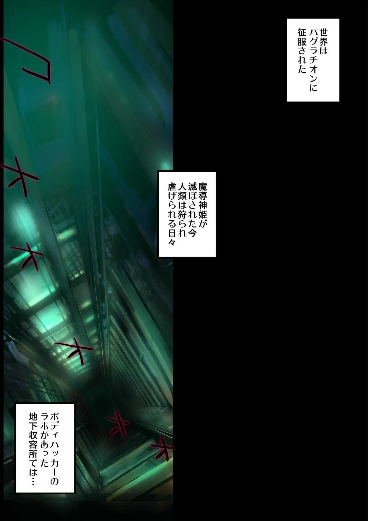 ヒロイン受胎命令・魔導神姫狩り編 ボディハッカー - page174