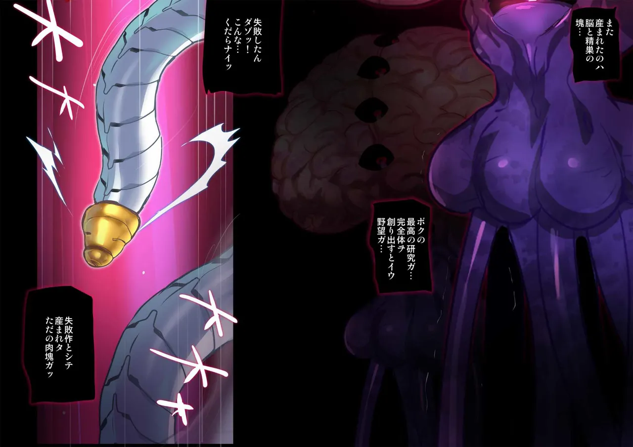 ヒロイン受胎命令・魔導神姫狩り編 ボディハッカー - page84