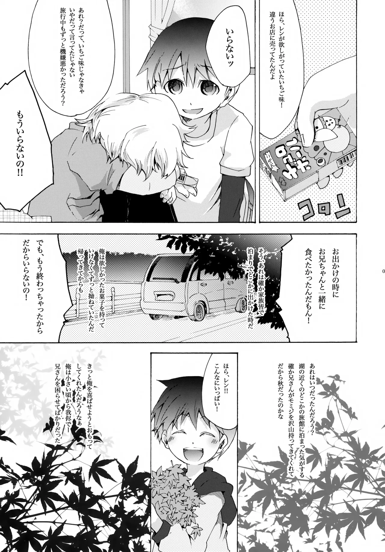 アキモミジ - page4