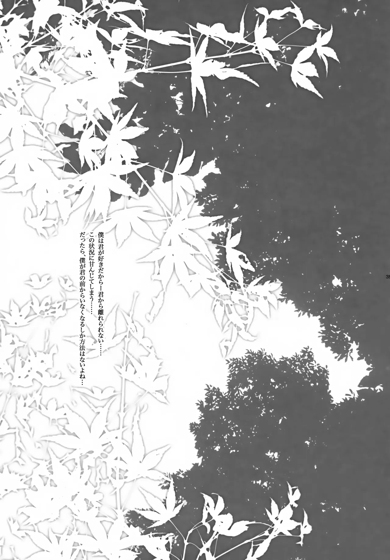 アキモミジ - page40