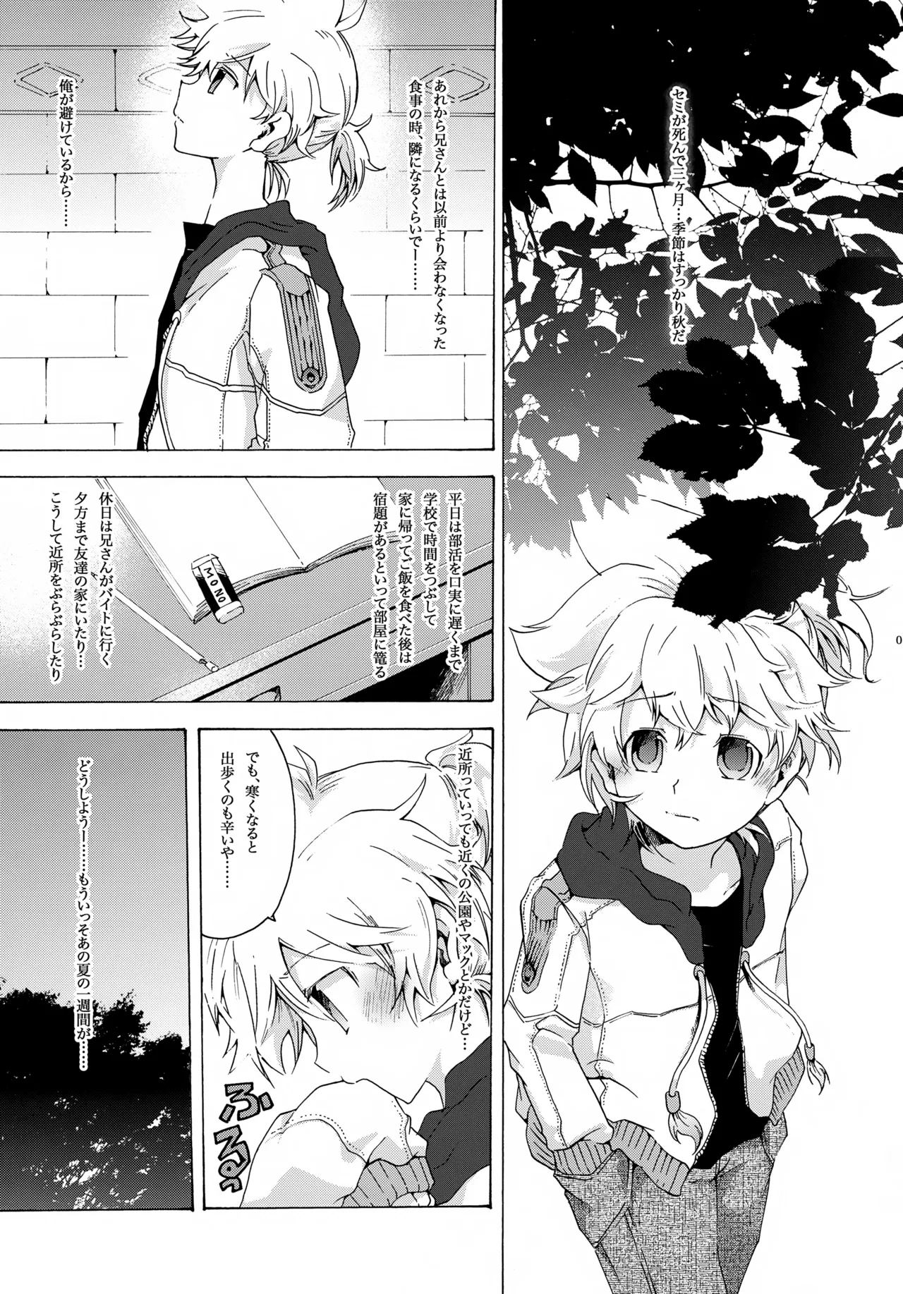 アキモミジ - page6