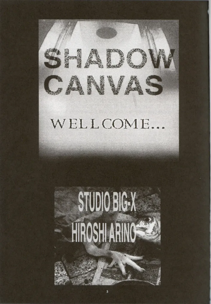 SHADOW CANVAS 13 - page2