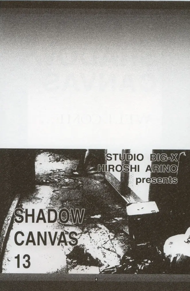 SHADOW CANVAS 13 - page3