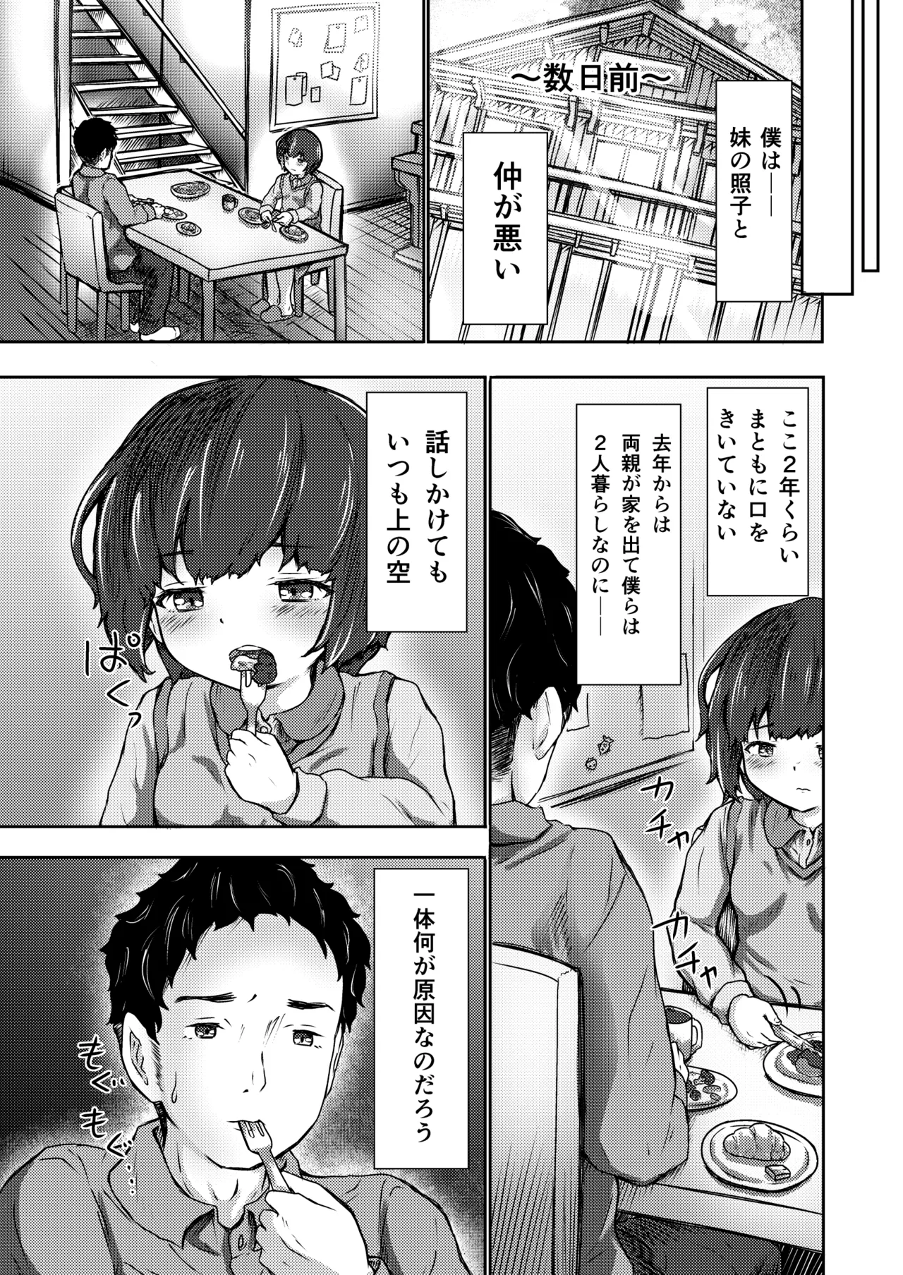 屋根裏「変態」ロンパールーム - page4