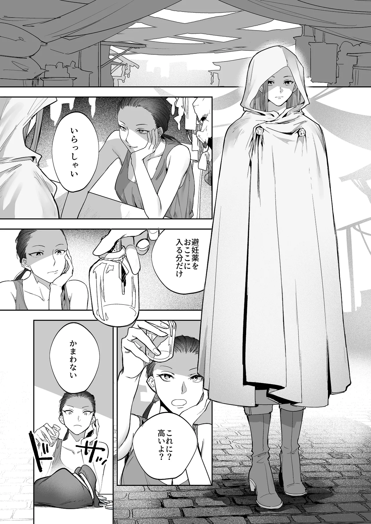 護衛女騎士と王子の関係3 - page1