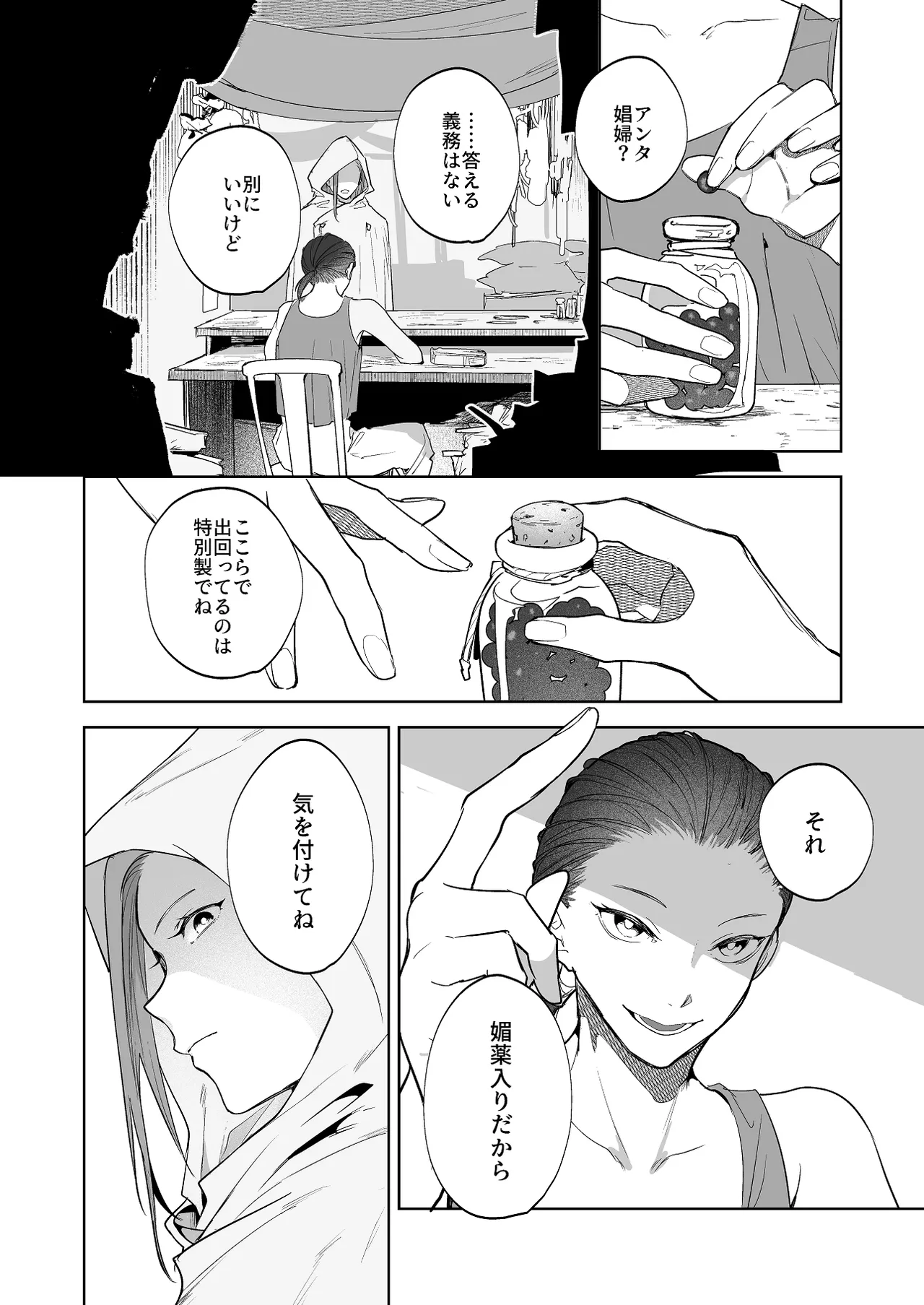 護衛女騎士と王子の関係3 - page2