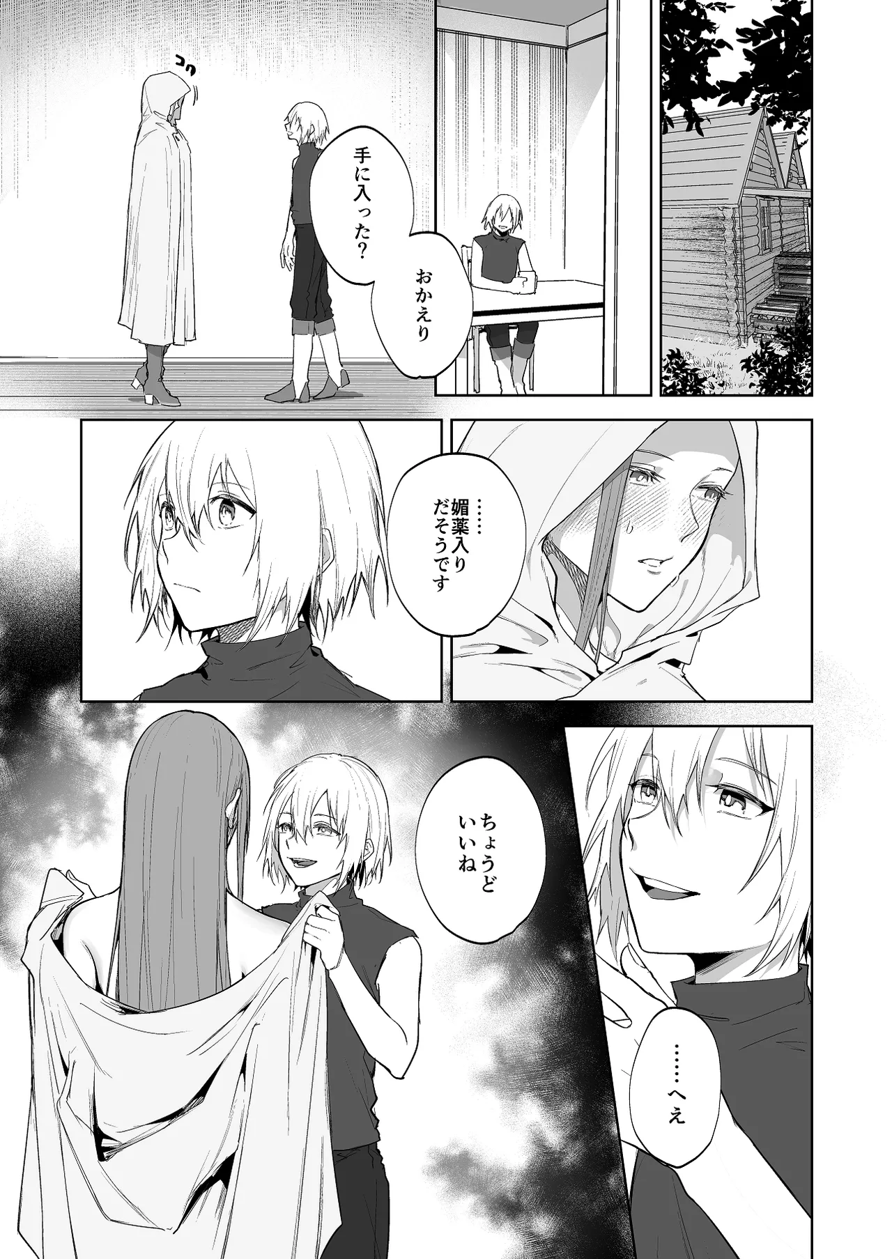護衛女騎士と王子の関係3 - page3