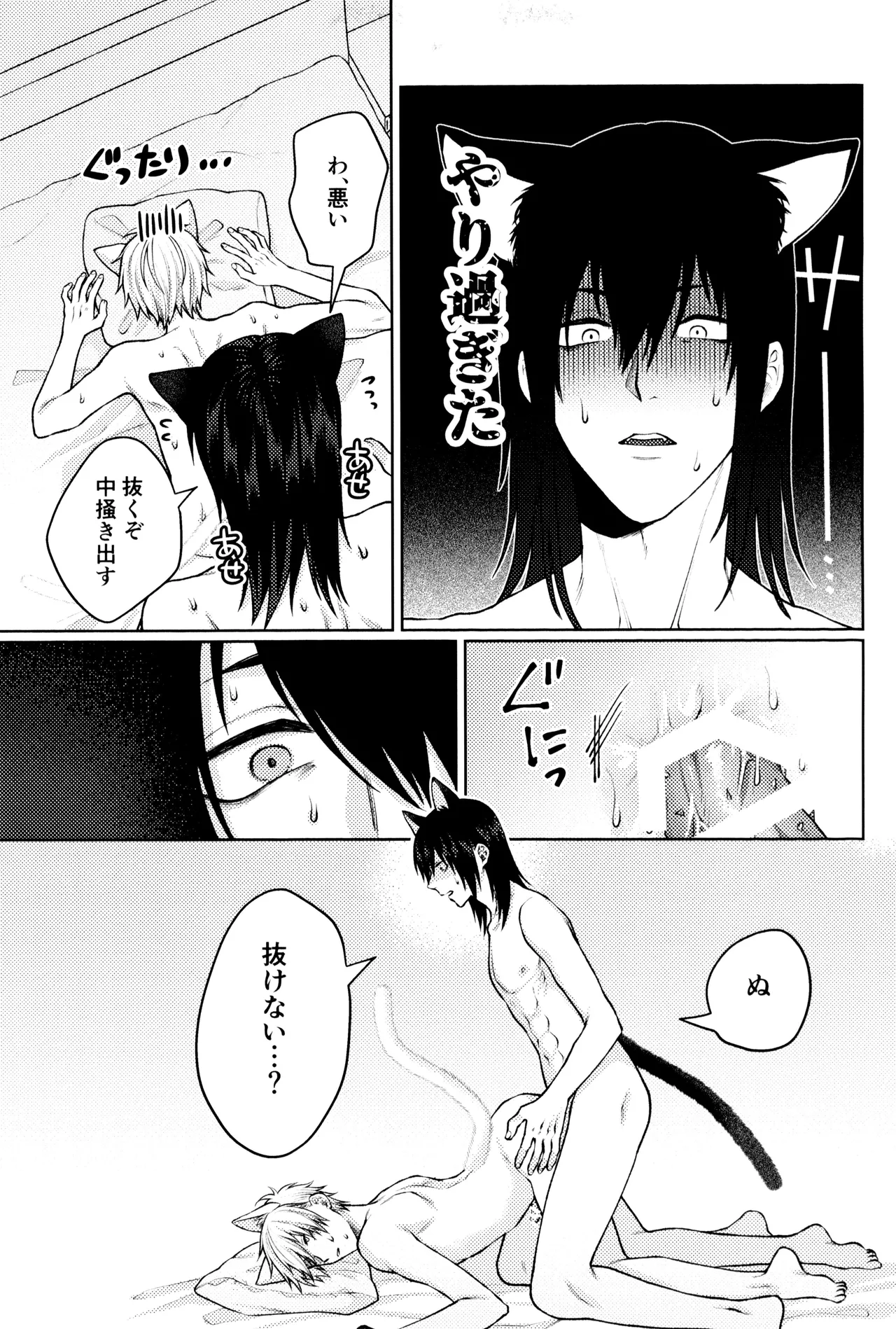 にゃんにゃんごろごろ - page43