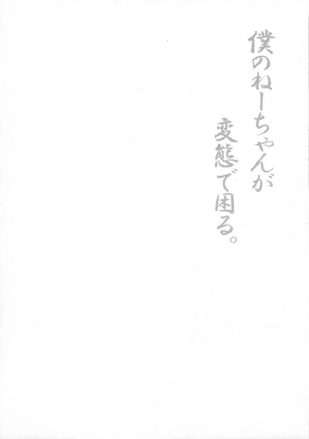 僕のねーちゃんが変態で困る。2 - page3