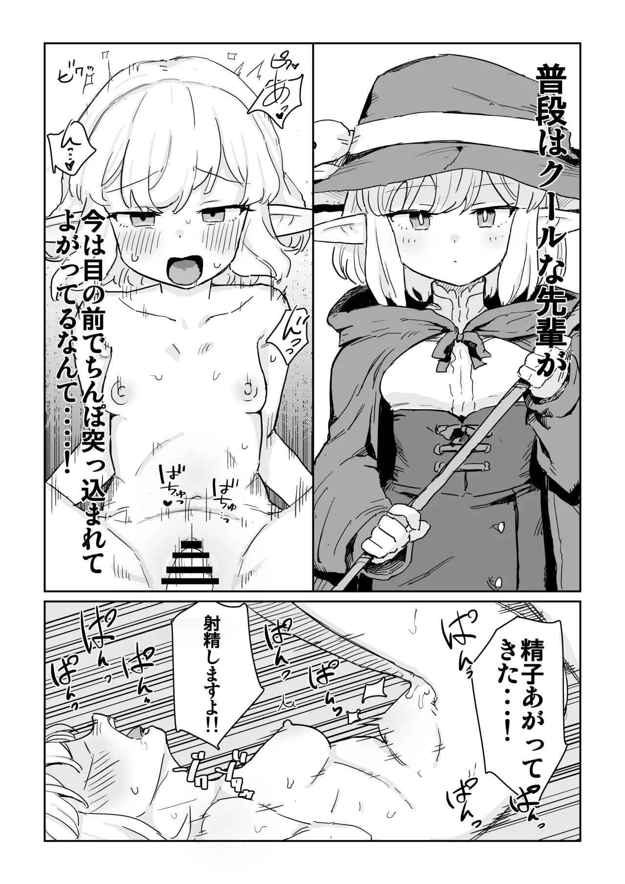 同じパーティーのクール系エルフが裏では大人の玩具で遊ぶ変態だったのでセックスすることにした - page24