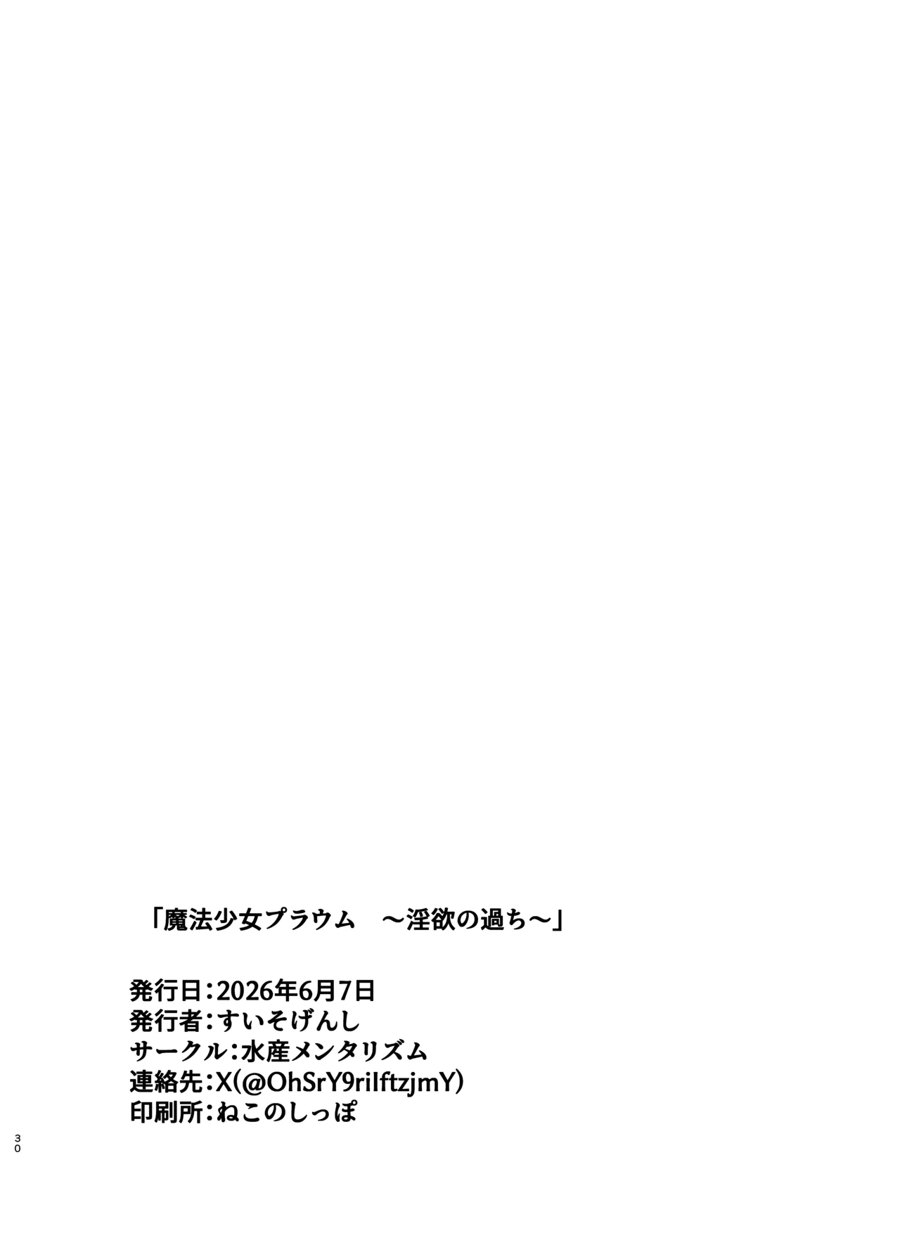 魔法少女プラウム～淫欲の過ち～ - page29