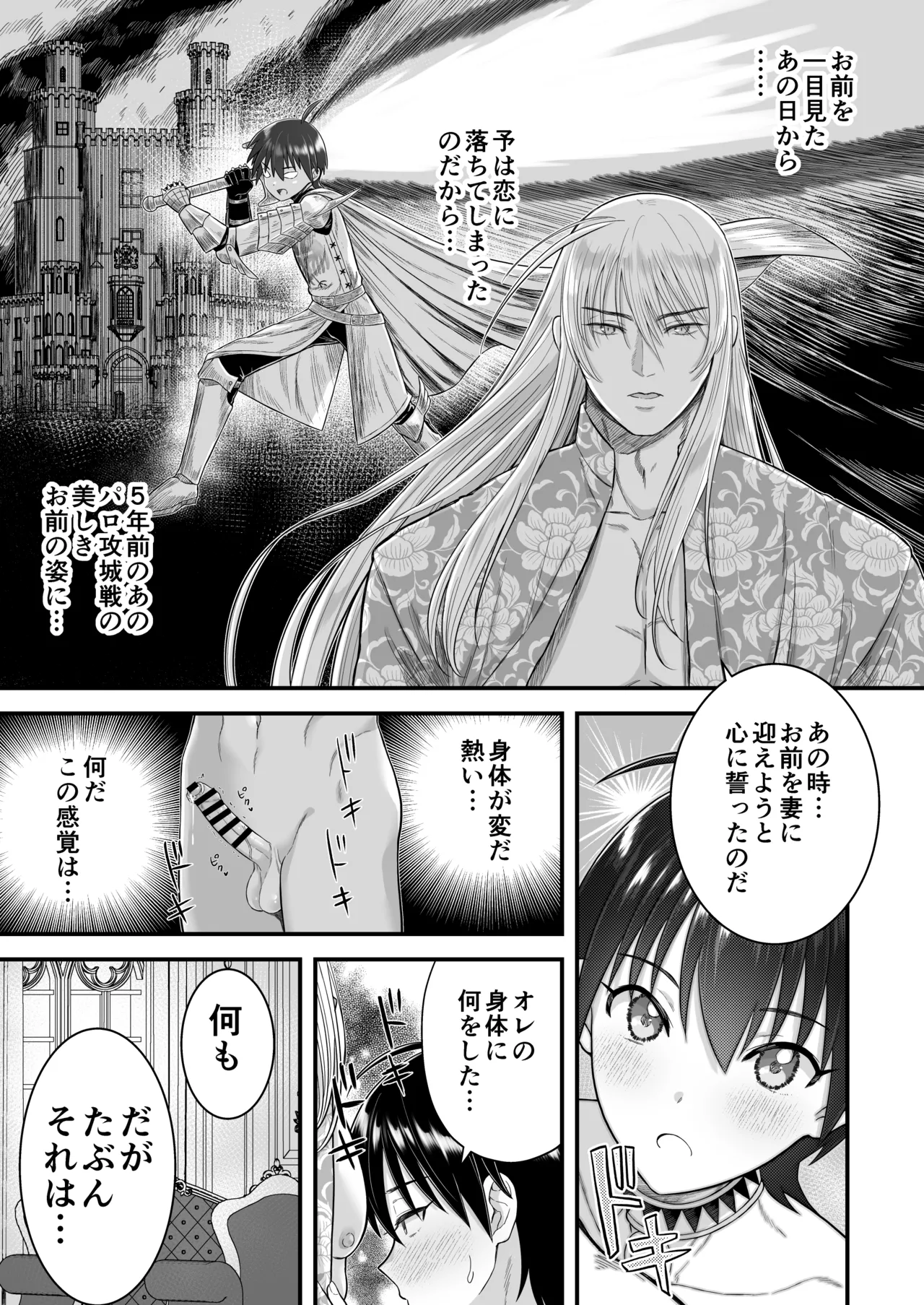 英雄陥落 ～選ばれし光の戦士が魔王の妻に!?～ - page22