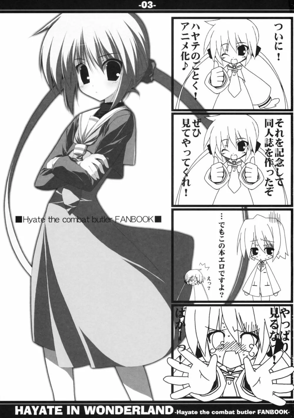 HAYATE IN WONDERLAND - page3