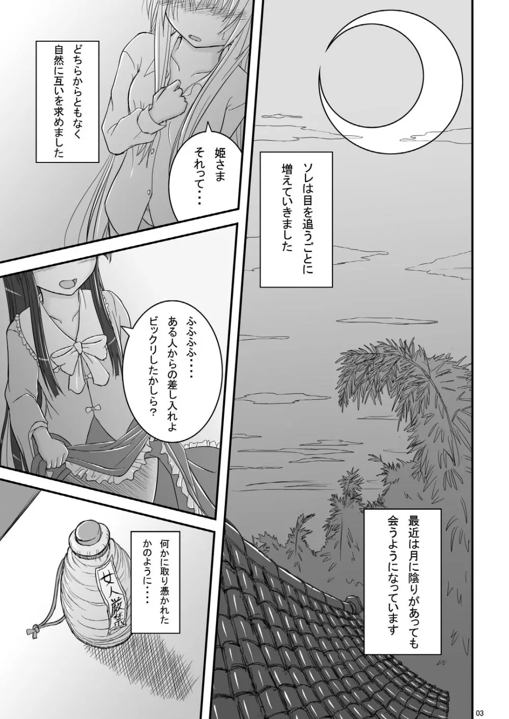 [TEMPLE] 月の下、華二輪 Level:hard (東方)[ - page3