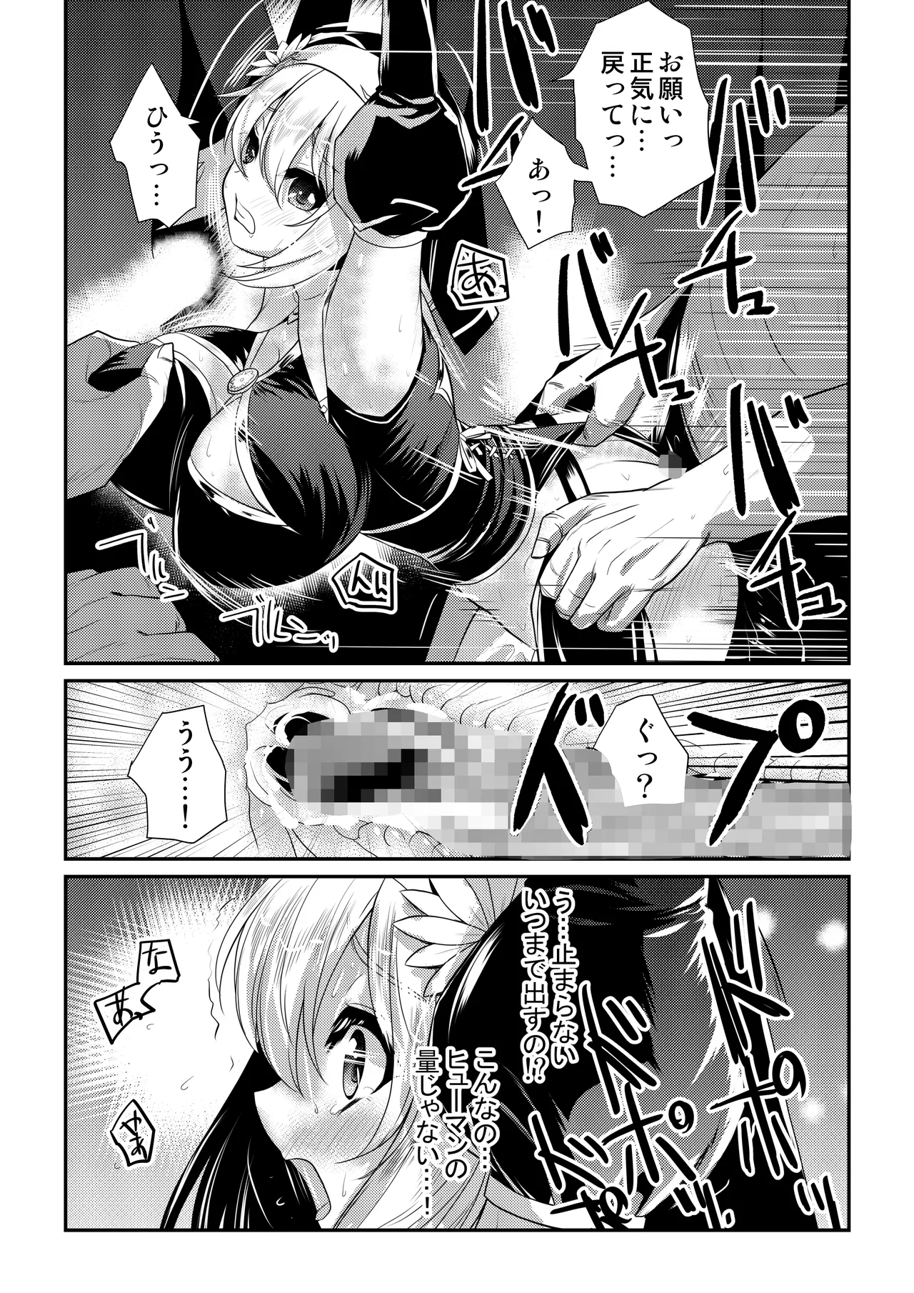 メイア教団シスター聖徒隊 デーシュヴァール村事件 - page12