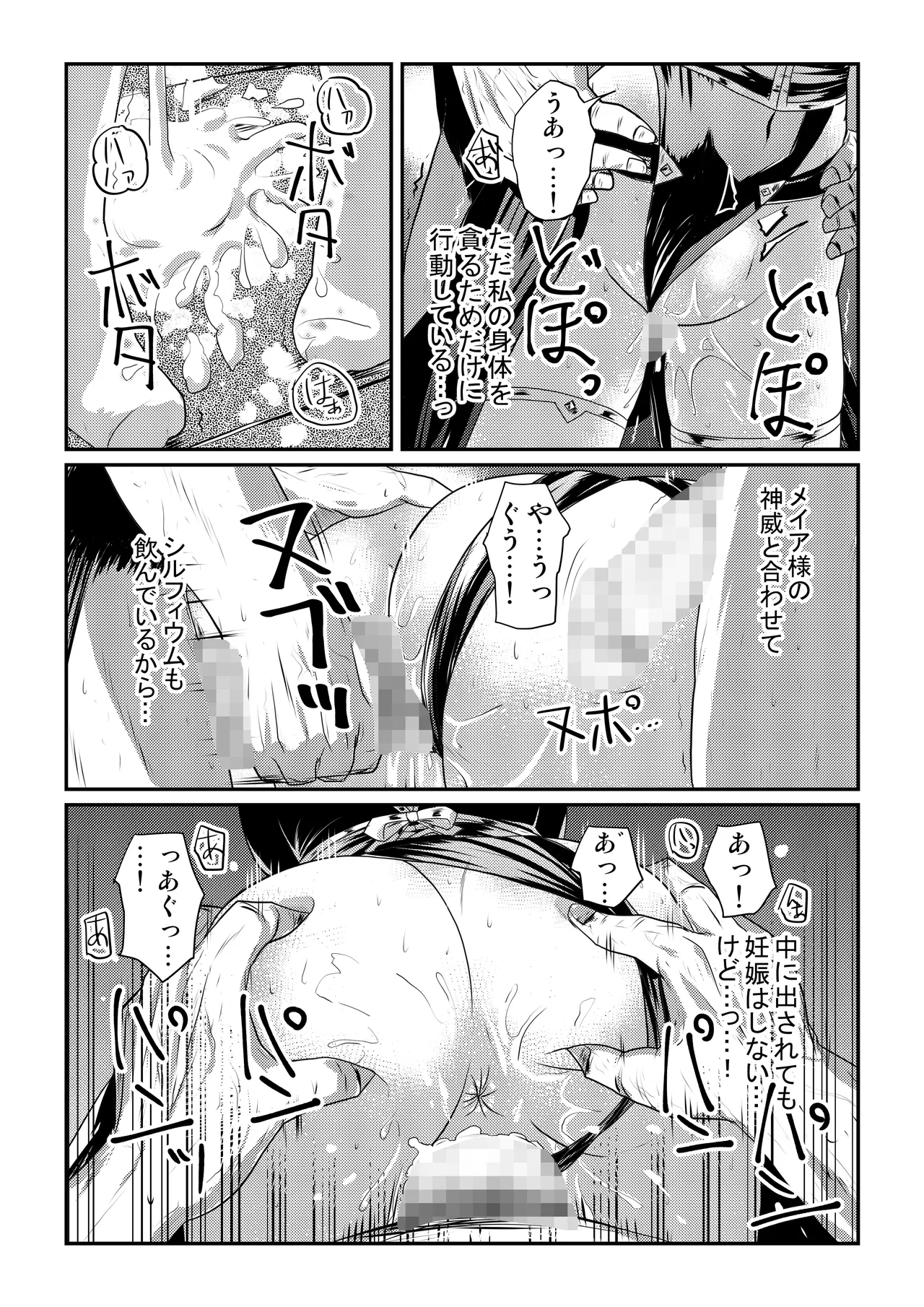 メイア教団シスター聖徒隊 デーシュヴァール村事件 - page14