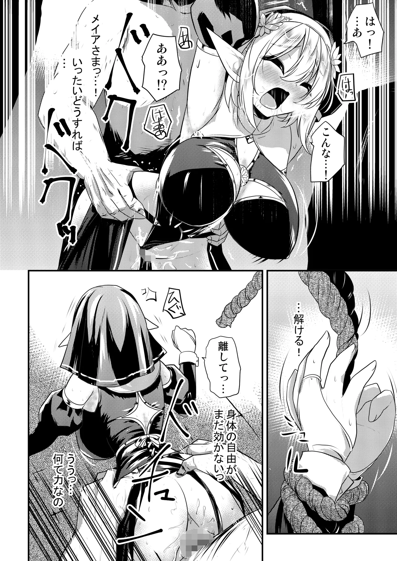メイア教団シスター聖徒隊 デーシュヴァール村事件 - page15