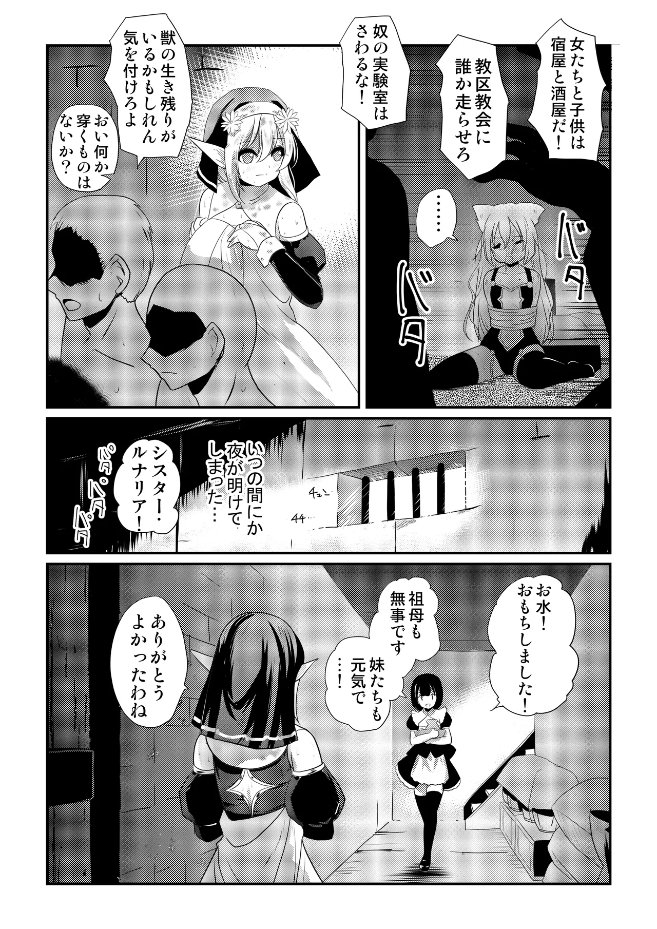 メイア教団シスター聖徒隊 デーシュヴァール村事件 - page31