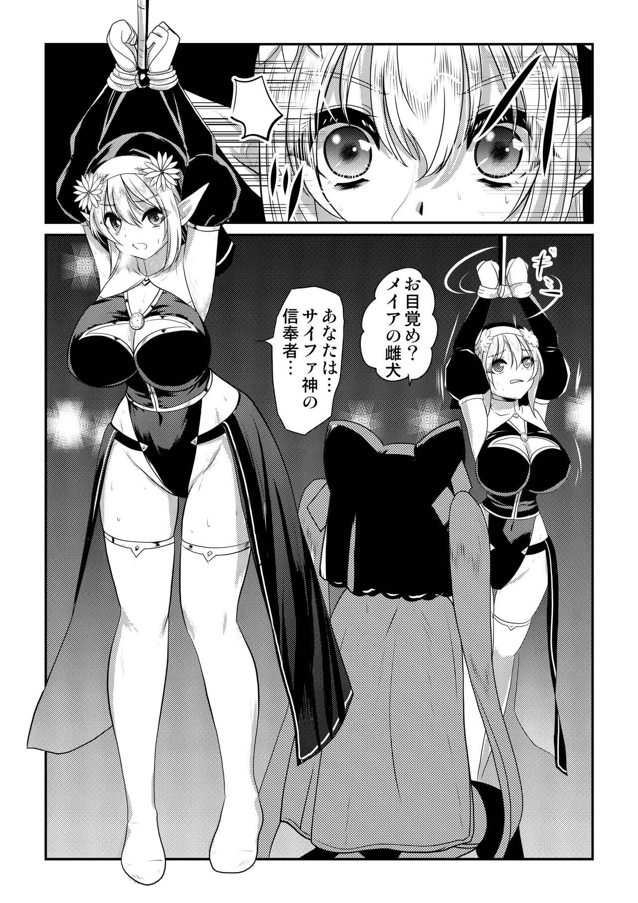 メイア教団シスター聖徒隊 デーシュヴァール村事件 - page8