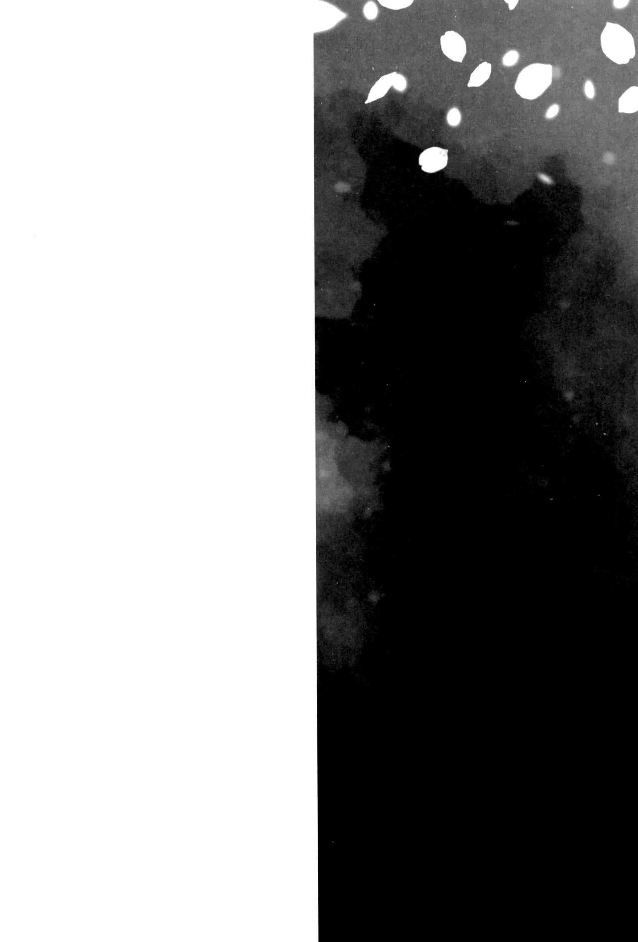 炎心スペクトル - page72