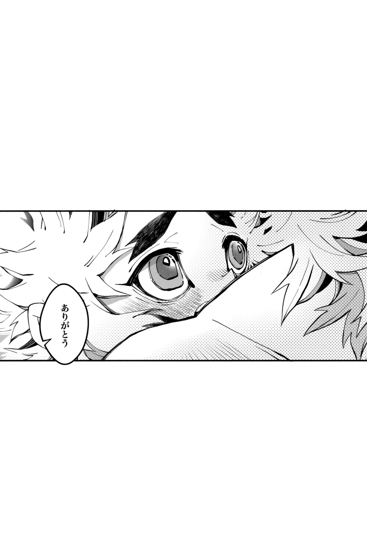 炎心スペクトル - page97