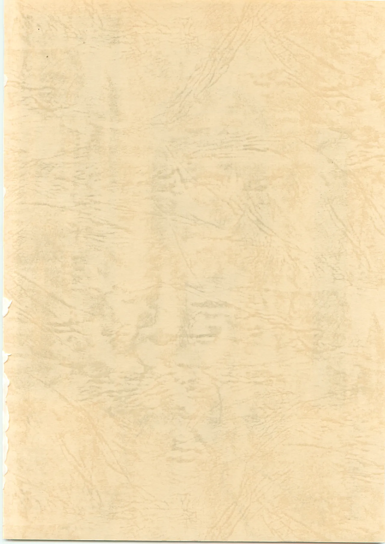 [TEAMいもずか] 南国帝皇２冊目 [南海奇皇ネオランガ] - page2