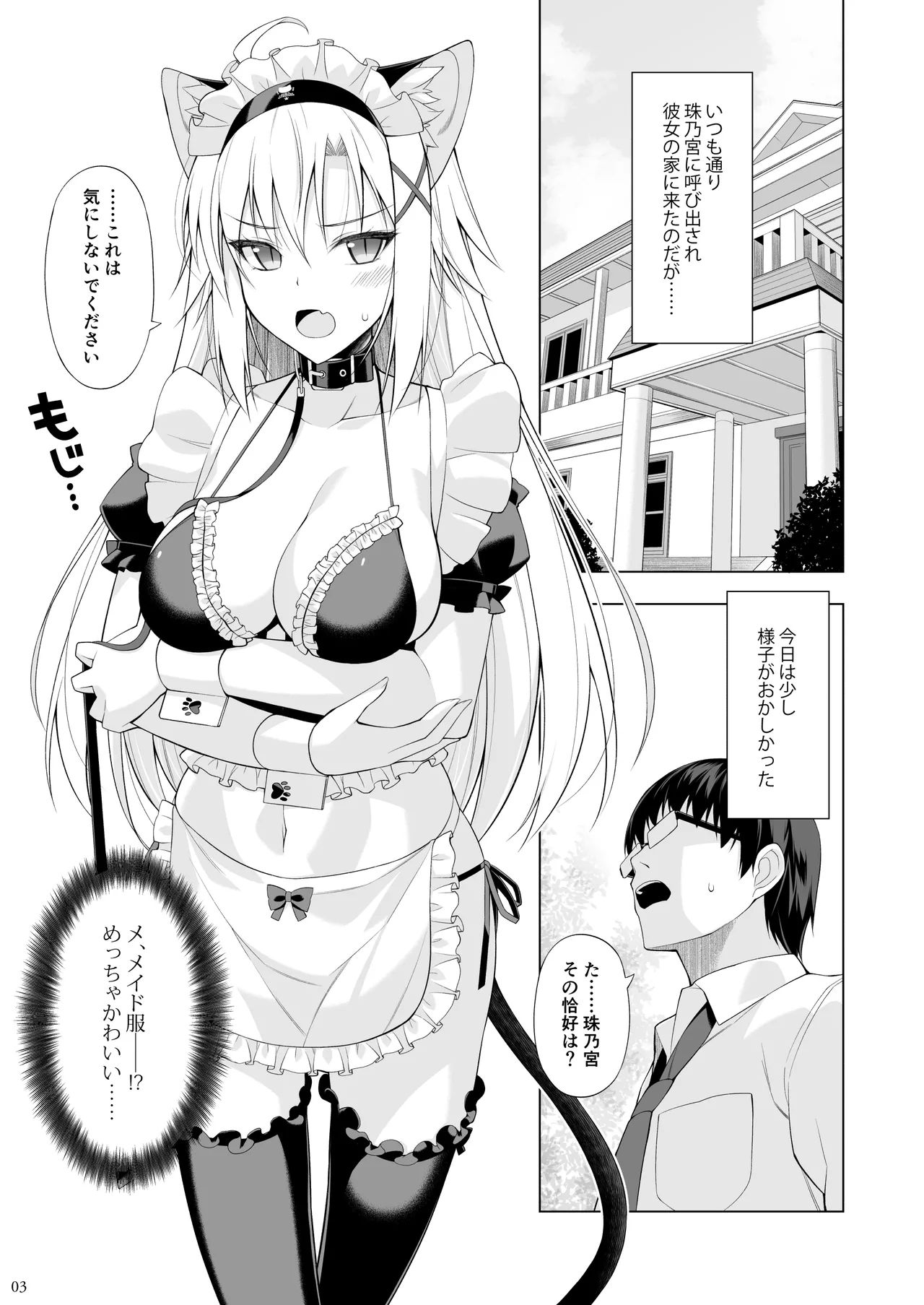 ねことげぼくVI - page2